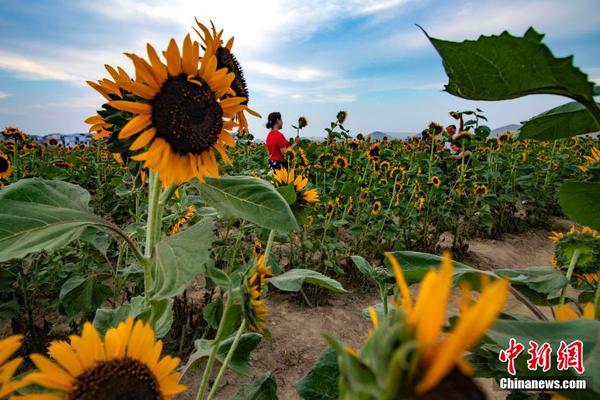 A city started a composting program for residents that turns food waste into garden fertilizer