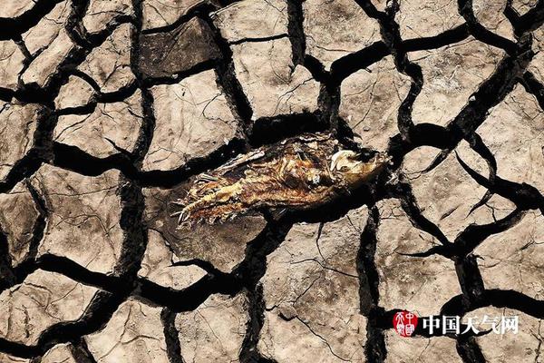 Car manufacturers announced plans to standardize charging ports for all electric vehicles by 2027