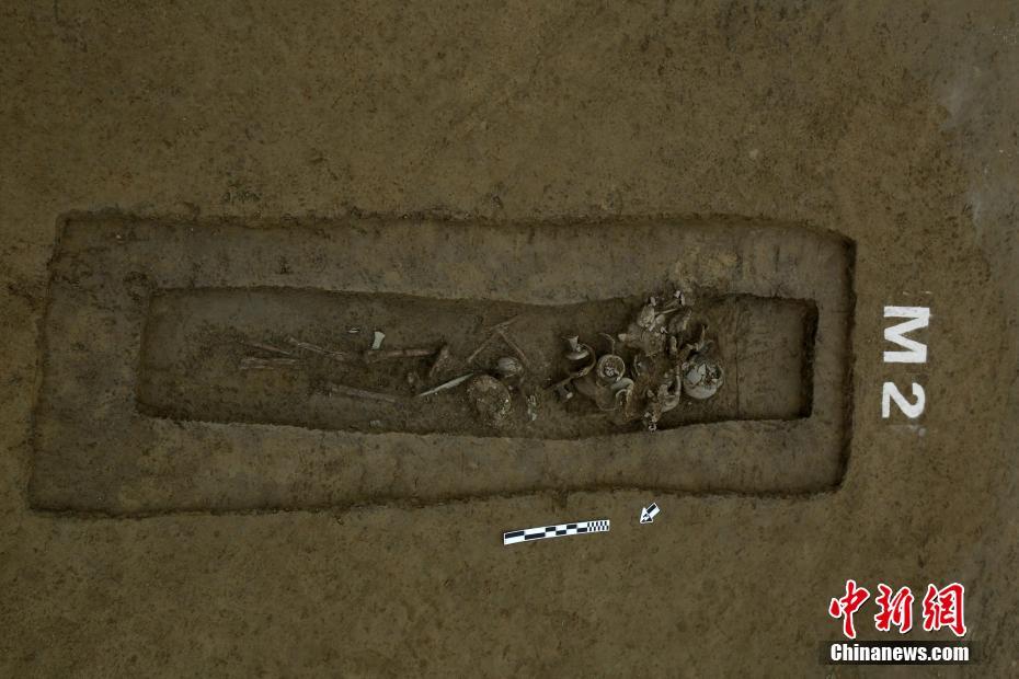 Researchers discovered that drinking green tea regularly may lower the risk of certain cancers