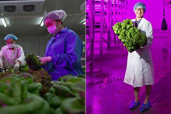 Fashion show raises money for women’s shelter with designs by local designers