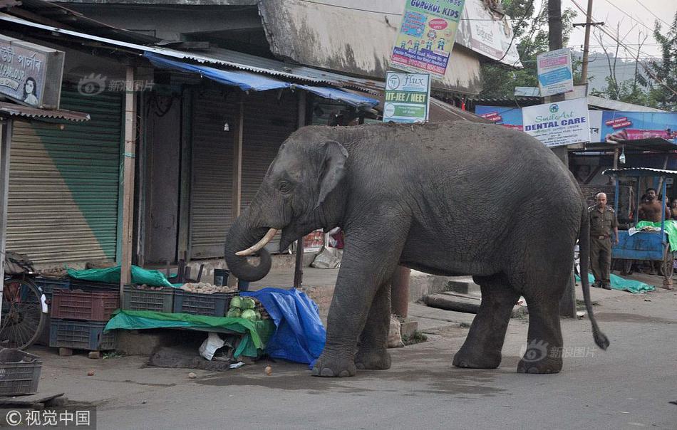 Theater shows classic film with live musical accompaniment