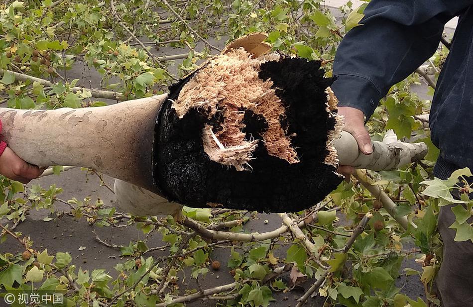 A school started a garden club that grows vegetables and sells them to the school cafeteria