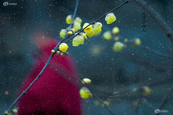 A community organized a 