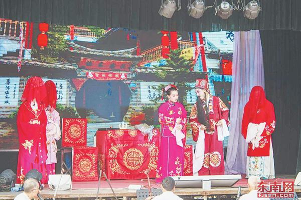 Wildlife sanctuary releases rehabilitated foxes back into natural habitat