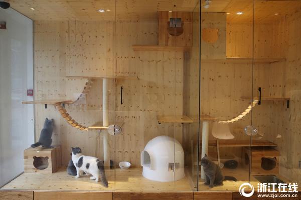 A scientist discovered a new way to clean up oil spills using natural bacteria