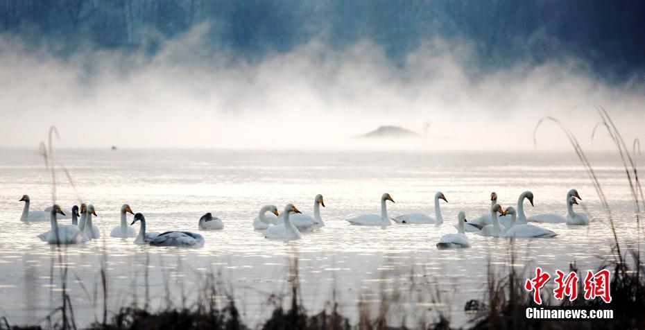 A study found that spending time in nature can reduce stress levels by up to 46% in adults