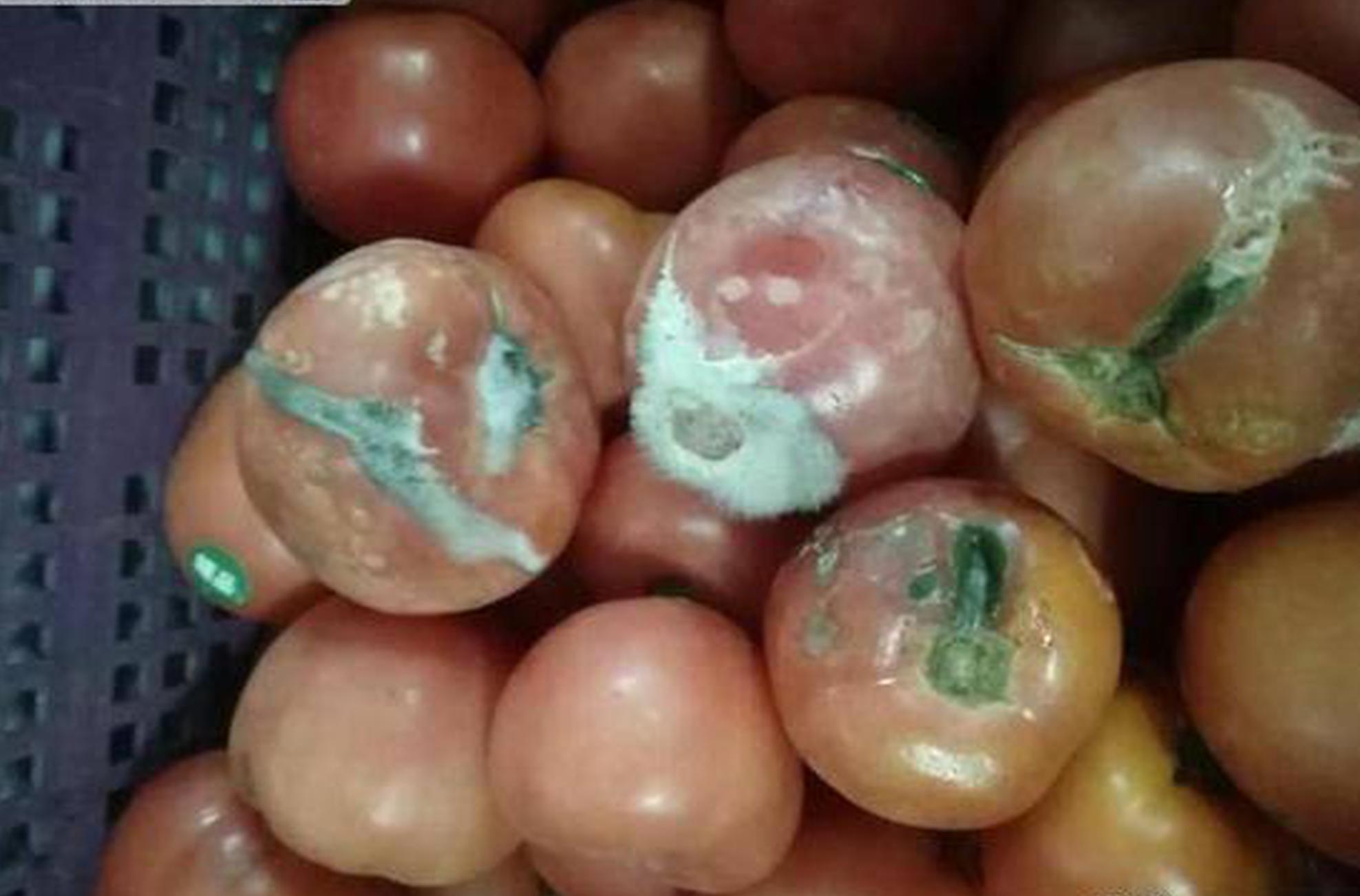 A popular fashion brand announced a sustainable clothing line made from recycled materials