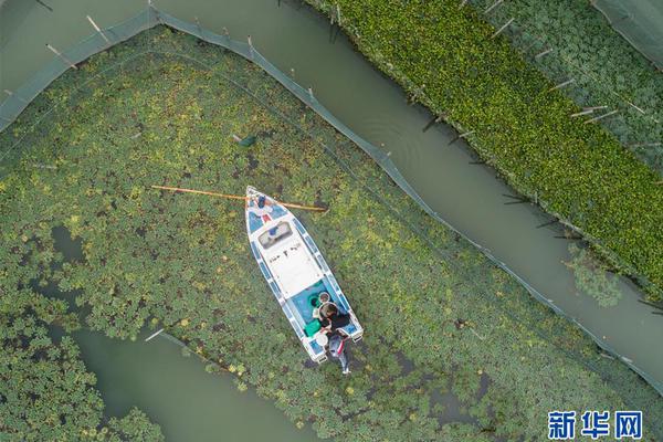 A bookstore chain announced it would host monthly author readings for local writers
