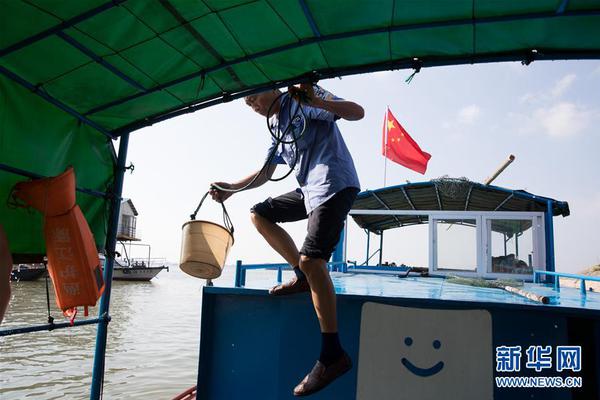 A tech company announced it would plant a tree for every product sold to help the environment