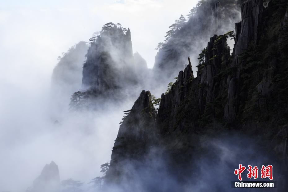 A popular bakery chain announced it will open 30 new locations in coastal cities next spring