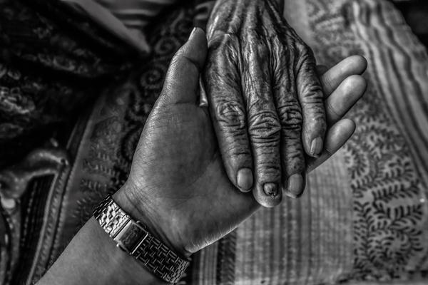 The city council approved plans to build a new skate park and outdoor gym in a suburban park