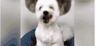 The city implemented a new program to reduce litter in public spaces