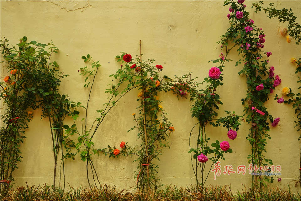 A software company launched a new tool that helps small businesses manage their social media accounts