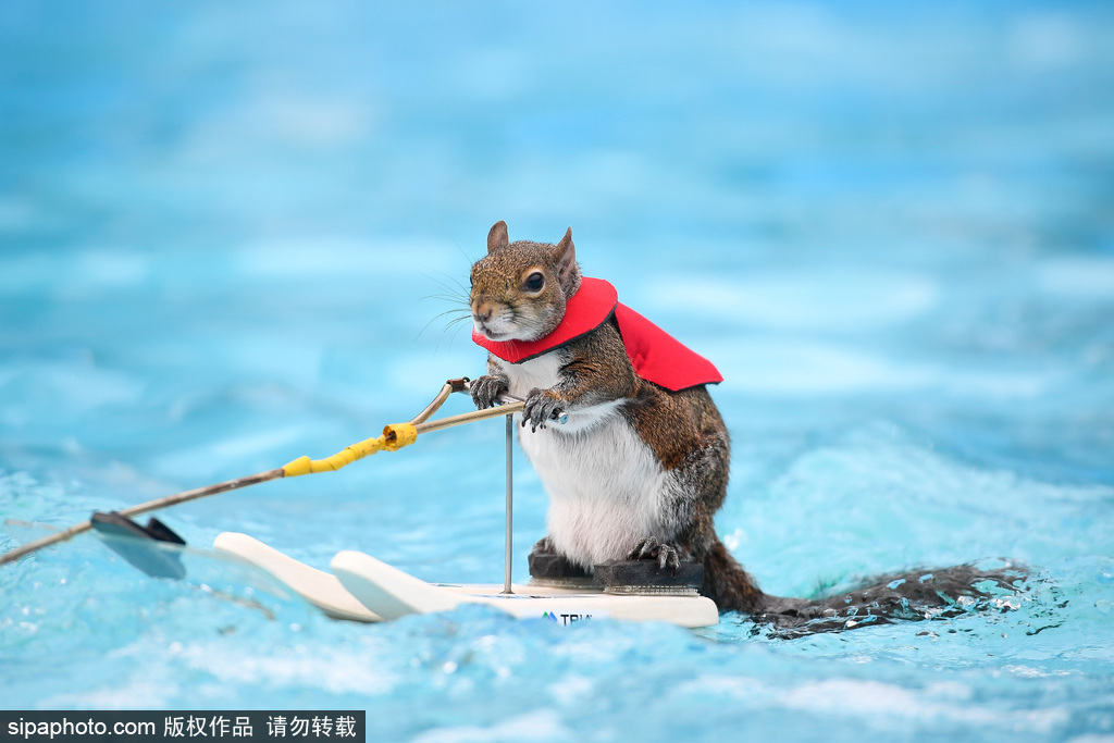 Newsletter includes tips for preparing homes for upcoming winter weather