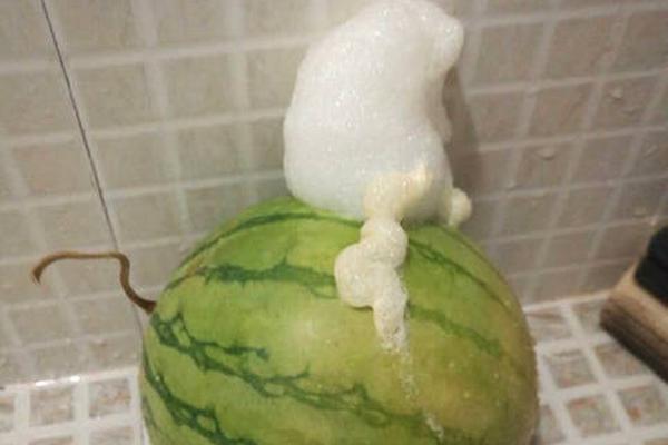 A major hotel chain announced it will implement a zero-waste policy in all its hotels reducing landfill waste by 95%