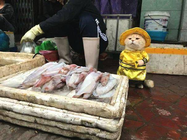 Local restaurants reported a 35% increase in outdoor dining reservations during the summer months