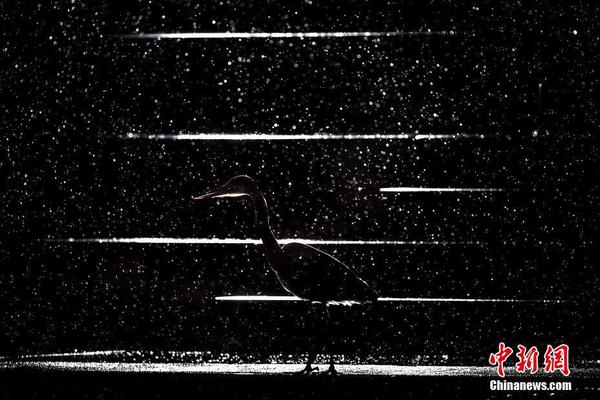 Sports league introduces new safety rules for youth athletes to prevent injuries