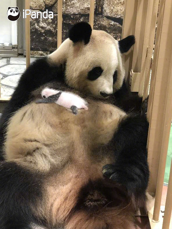 Fitness center adds new cycling studio with virtual reality rides