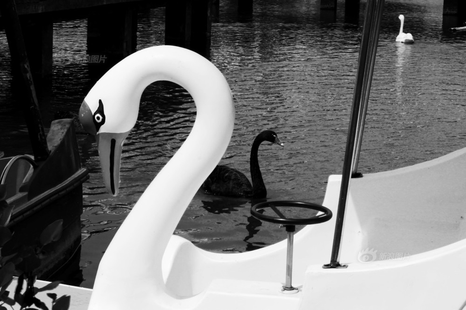 The government introduced new regulations to reduce food waste in restaurants