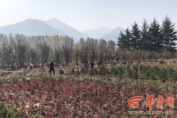 A government program provided financial assistance to first time homebuyers