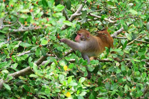 A fashion store started selling sustainable denim made from recycled cotton
