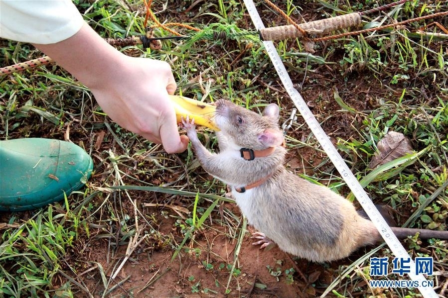 A gym offered free fitness classes for first responders during the month of September