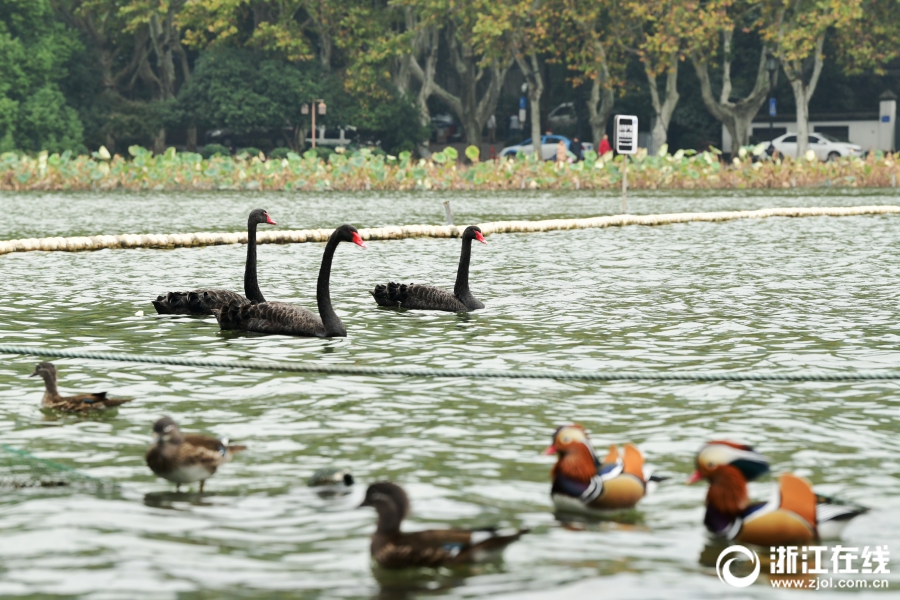 International relief organizations are sending medical teams to areas hit by a severe earthquake