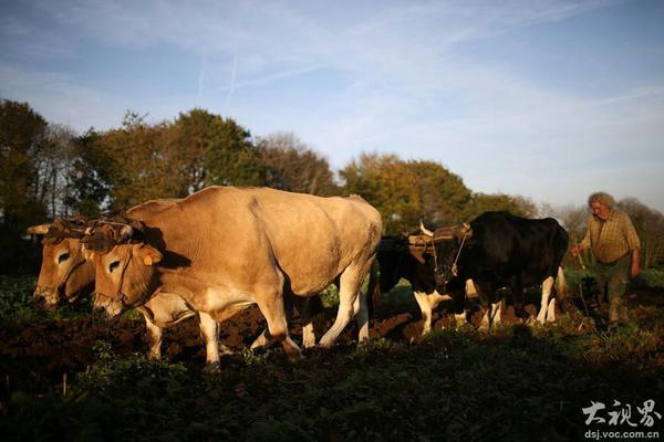Research shows that exposure to sunlight helps regulate mood in winter