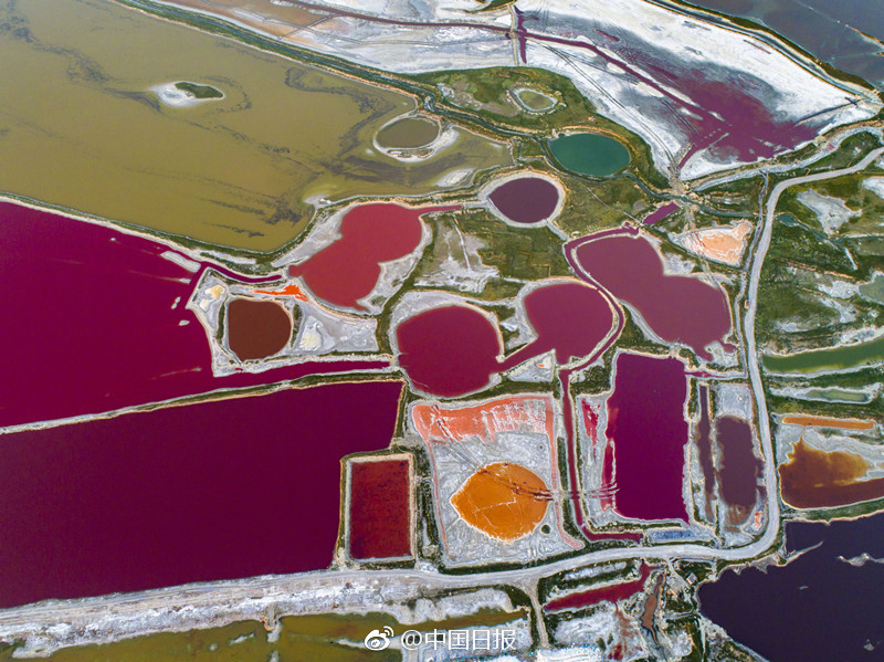 Bloggers attend conference focused on content creation and digital marketing