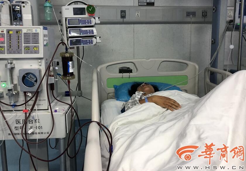 Community group organizes festival to celebrate local culture and traditions