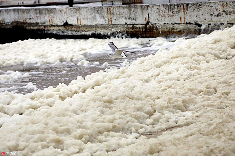 A famous singer announced a world tour, with concerts scheduled in 30 countries over the next year.