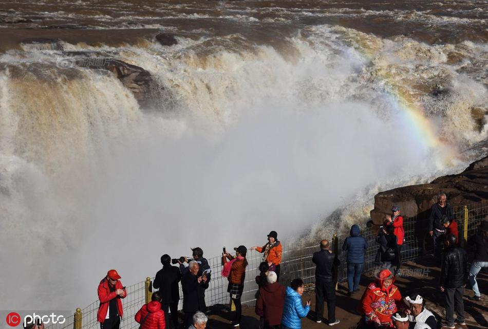 Researchers discovered a new species of frog in the Amazon rainforest