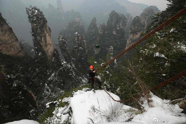 A new report showed that the number of electric vehicles on the road has tripled in the past two years