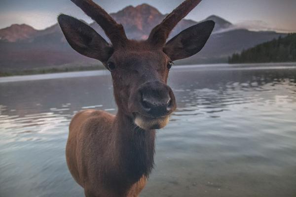 A best-selling author released a new thriller novel that focuses on cybercrime and hacking