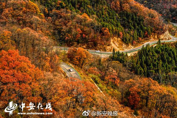 Wrestling team wins state championship for fourth consecutive year