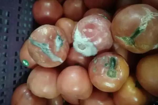 The government announced plans to build a new airport terminal to handle increased passenger traffic