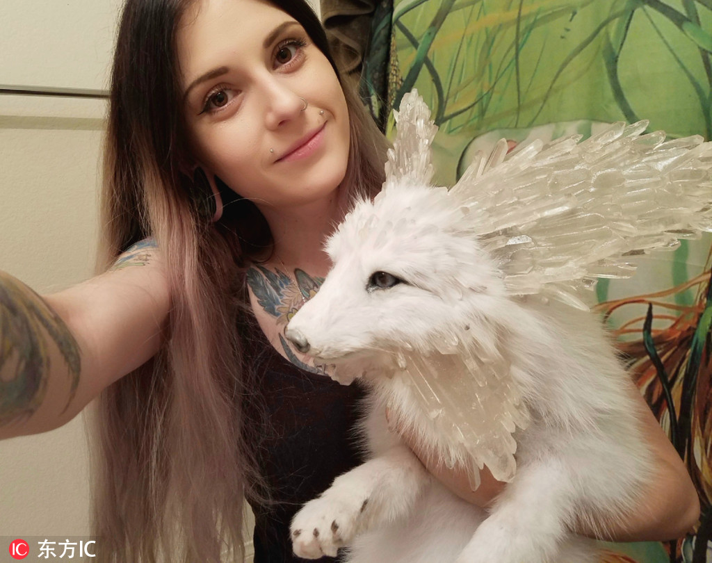 Environmental groups filed a lawsuit to stop a new logging project in a protected forest