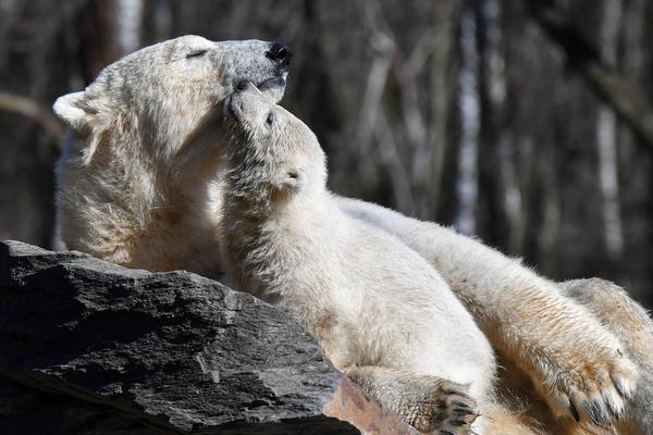 Doctors warned about the dangers of excessive sugar consumption