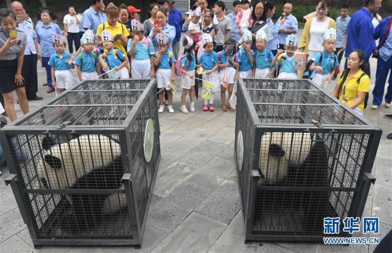 A software company launched a new tool that helps small businesses create professional invoices