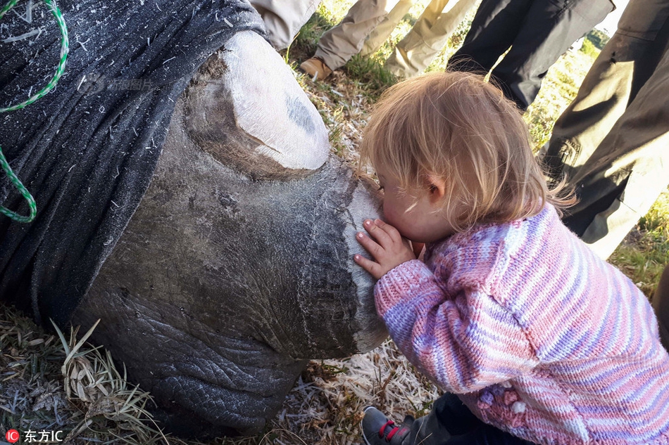 A local café introduced a new breakfast sandwich made with local ingredients