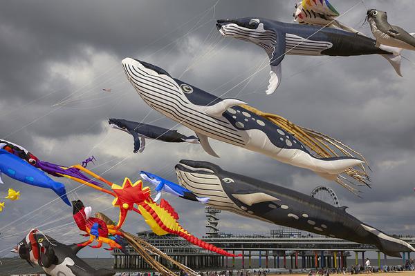 City officials approved a $300 million project to upgrade public transportation including new subway stations and bus routes