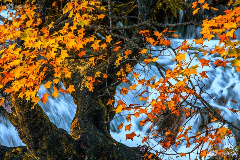 Police department partners with neighborhood watch groups to reduce theft