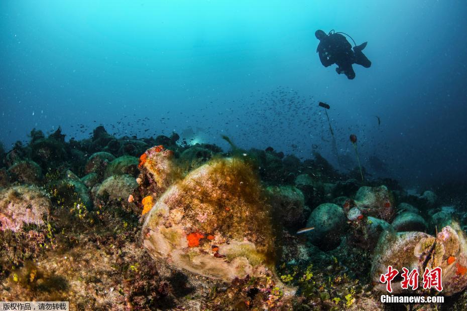 A study found that watching nature documentaries can reduce stress levels by 30%