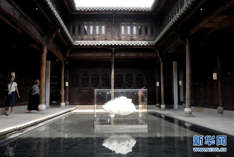 Scientists found that a certain bacteria helps plants grow better in poor soil conditions