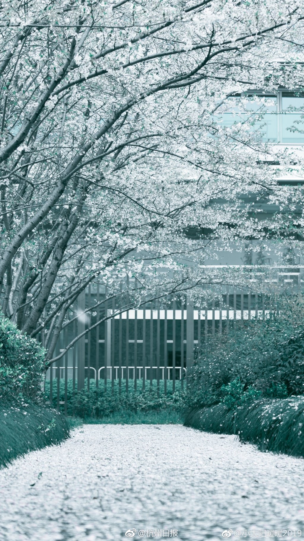 A startup launched an app that helps users track their daily exercise and calorie intake