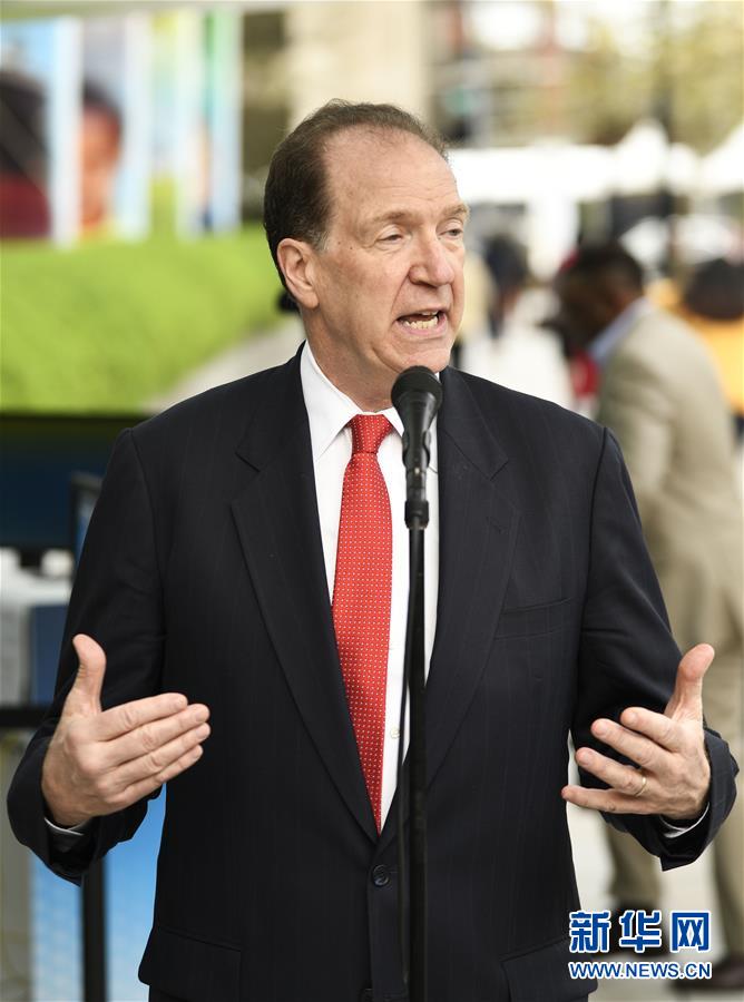 A local animal shelter rescued over 135 abandoned pets during a winter storm appealing for foster homes