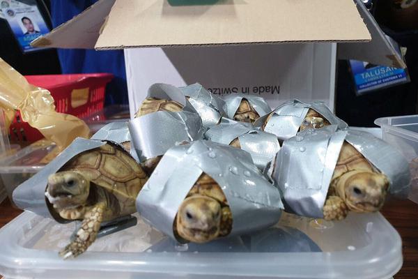 Book publisher releases memoir by famous political figure