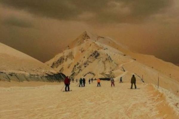 Researchers published a study showing that eating berries reduces the risk of age-related memory loss