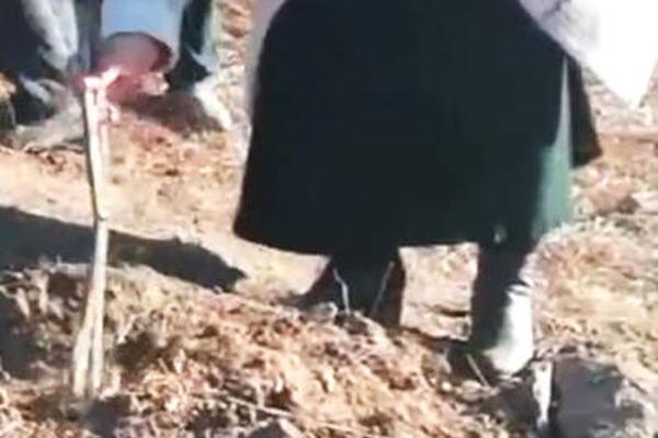 A famous singer released a charity album to raise money for disaster relief efforts