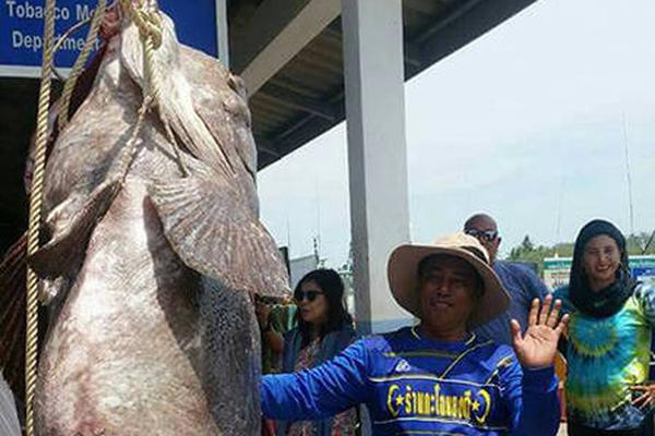 A taxi company started offering 